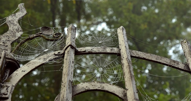 Quantum Portals